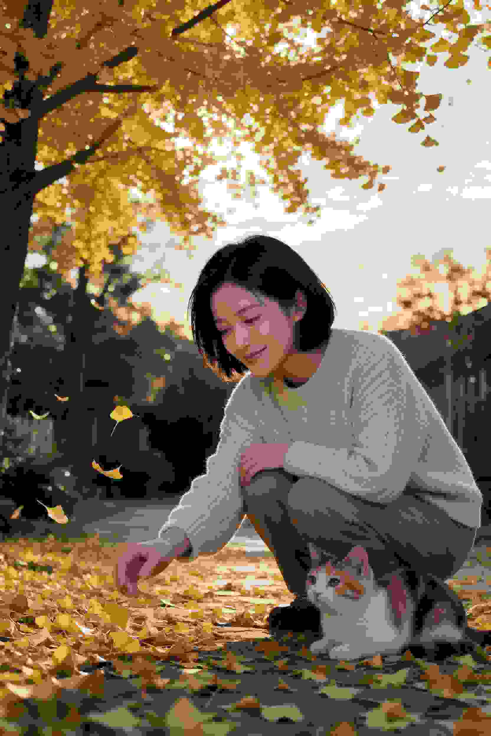 爱情5